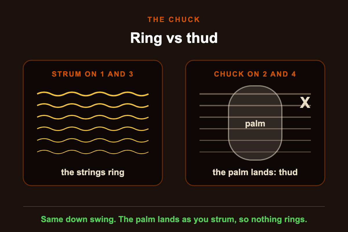 Ring vs thud: on a strum the strings ring, on a chuck the palm lands and they thud