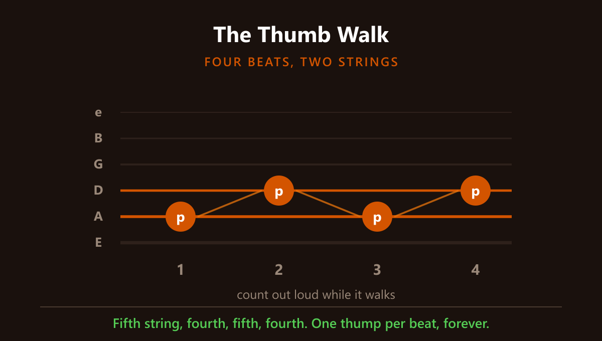 The thumb walk: fifth string, fourth, fifth, fourth, one per beat